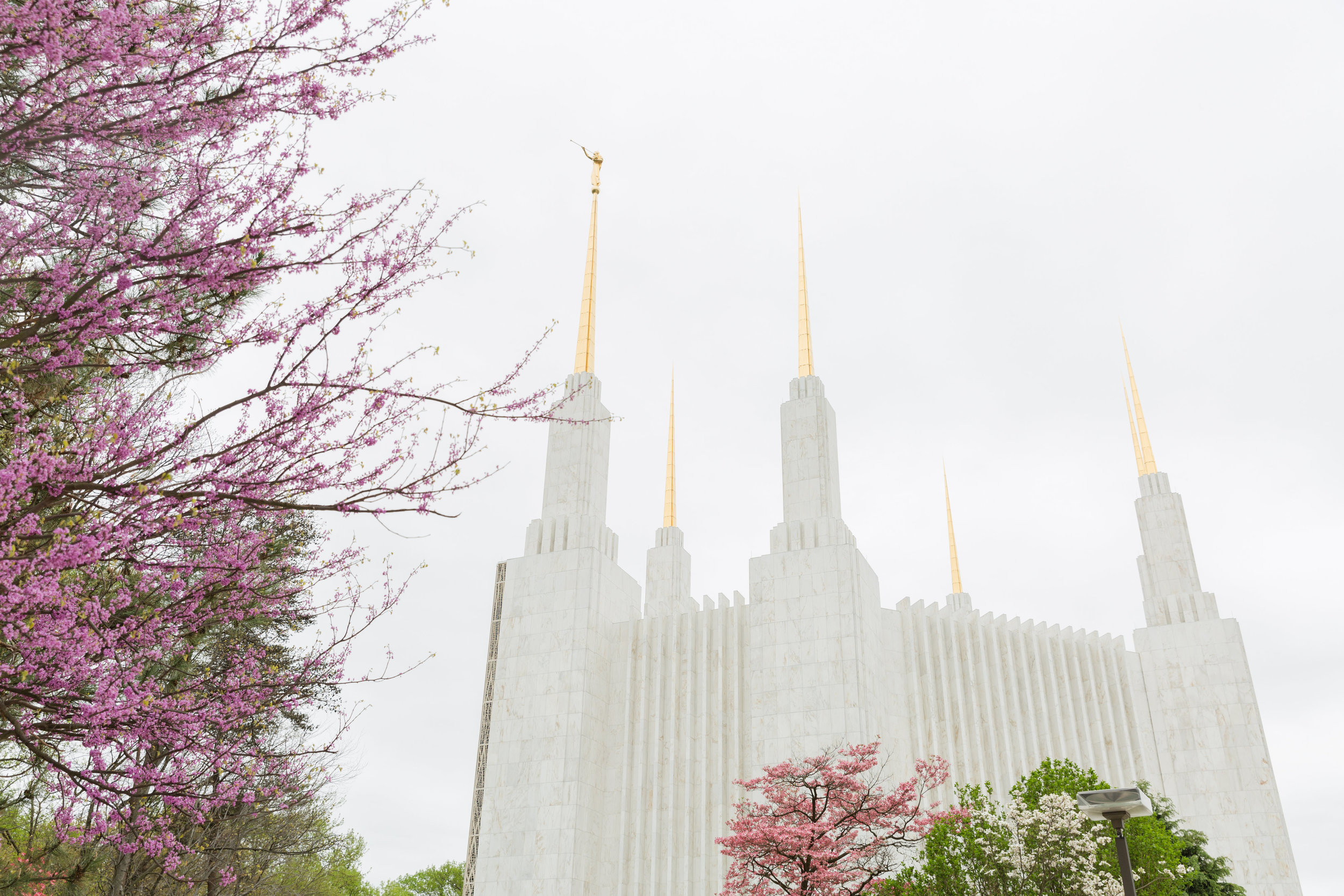 When One Door Closes Another One Opens // LDS Temple Wedding Photographer