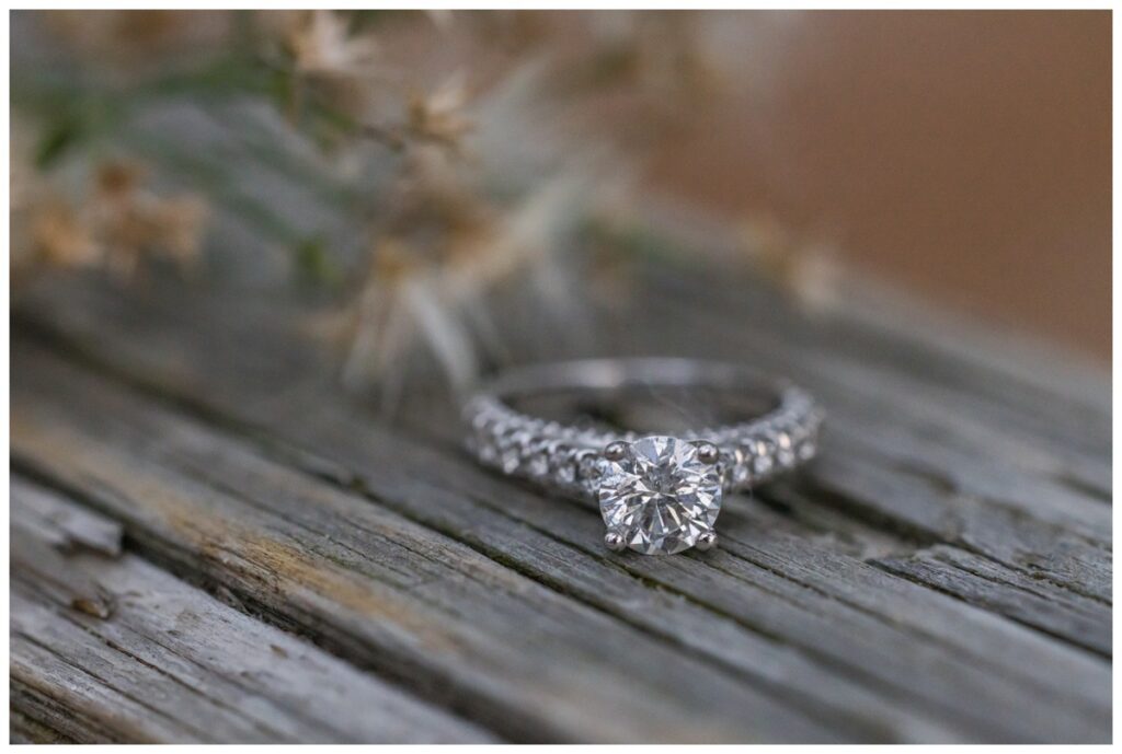 cavalier hotel and first landing engagement session